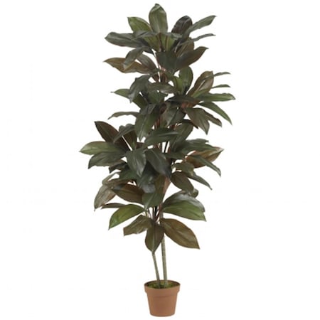 Dare2Decor 5 in. Cordyline Silk Plant -Real Touch DA103269
